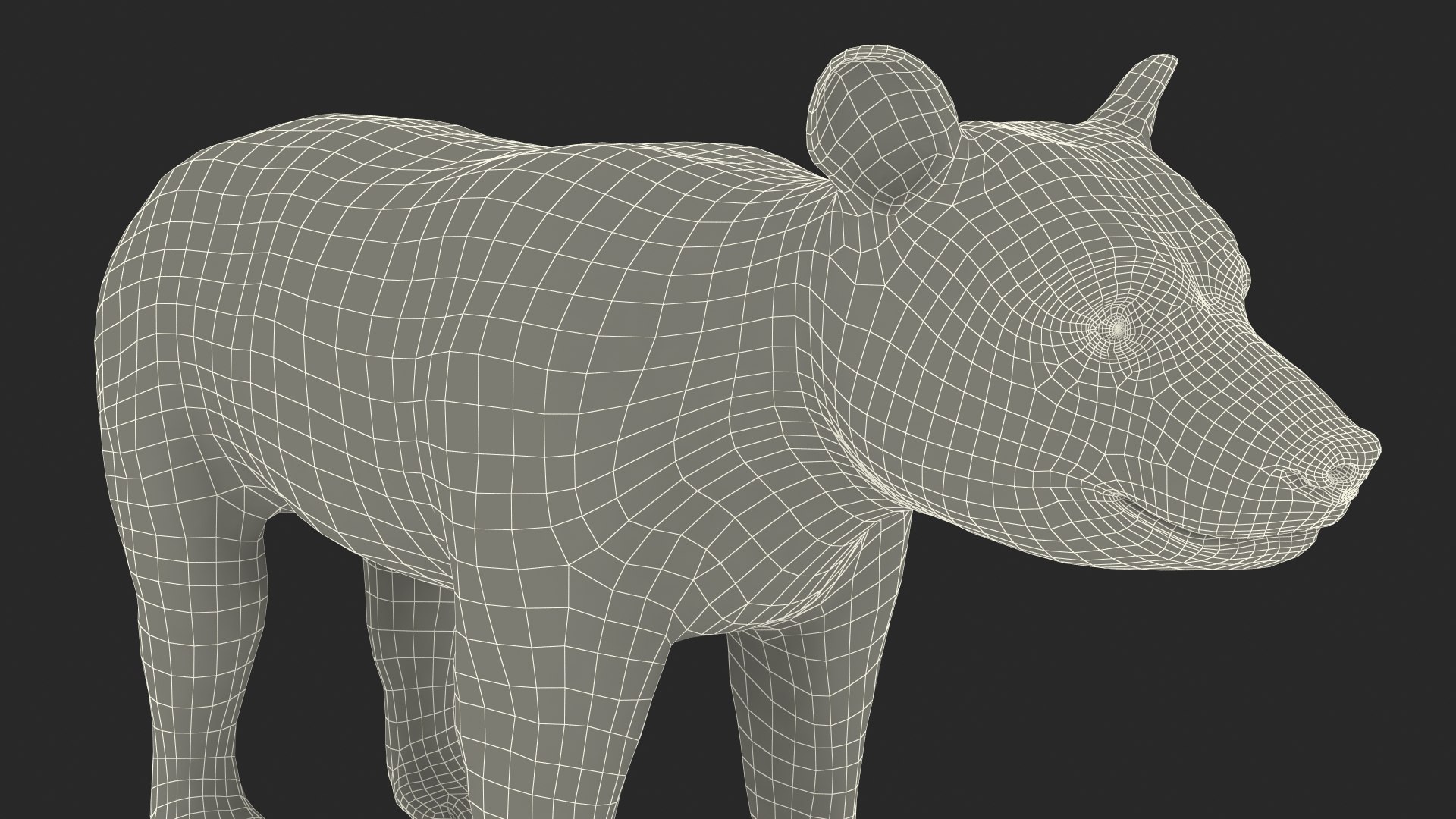 Young Black Bear model https://p.turbosquid.com/ts-thumb/yu/sbGEP9/vZ/youngblackbearvray3dmodel027/jpg/1721007780/1920x1080/fit_q87/a145a7886bd60328b043df472a8d0848c6b60761/youngblackbearvray3dmodel027.jpg