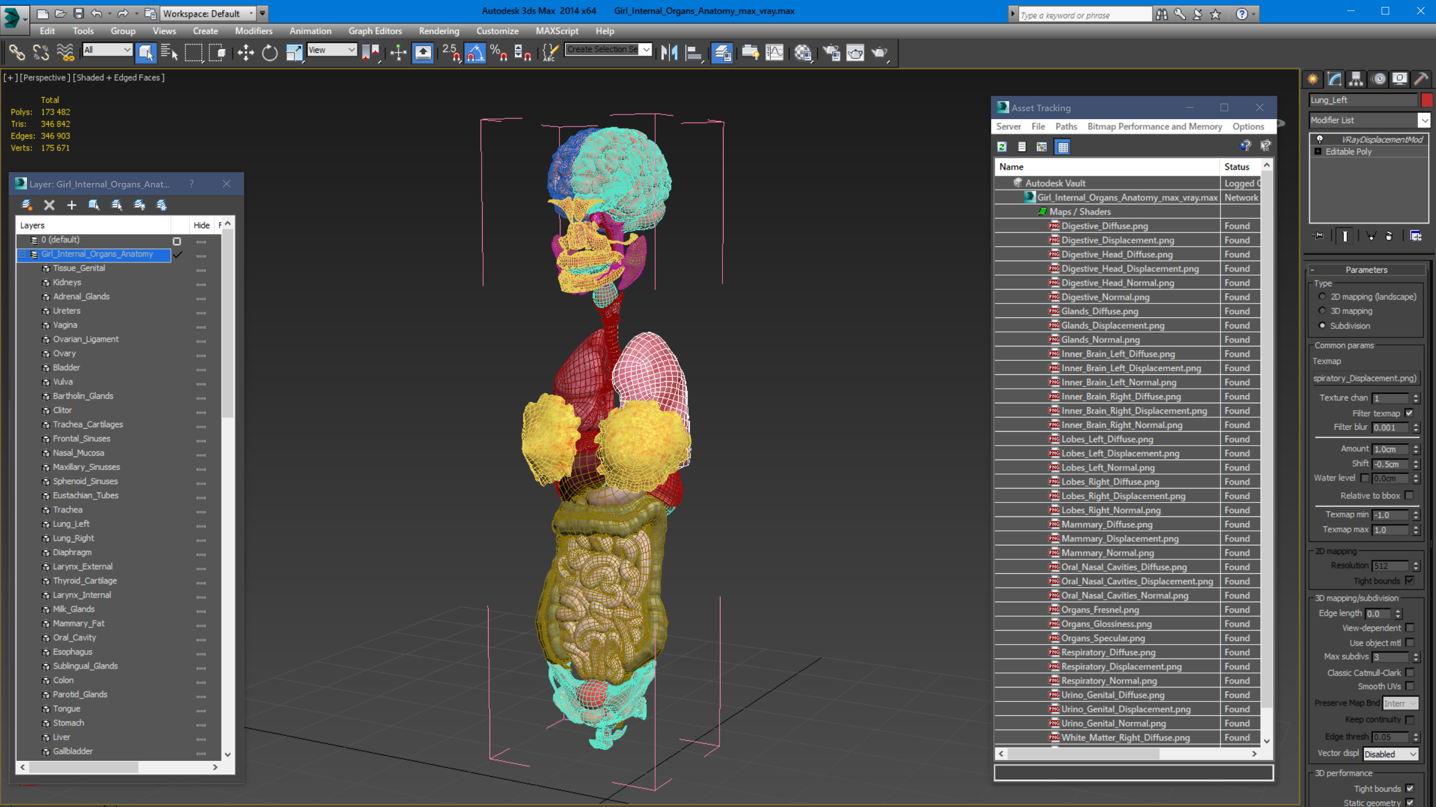 Girl Internal Organs Anatomy model - TurboSquid 1948011