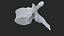vertebrae 3D model