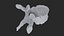 vertebrae 3D model