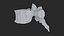 vertebrae 3D model