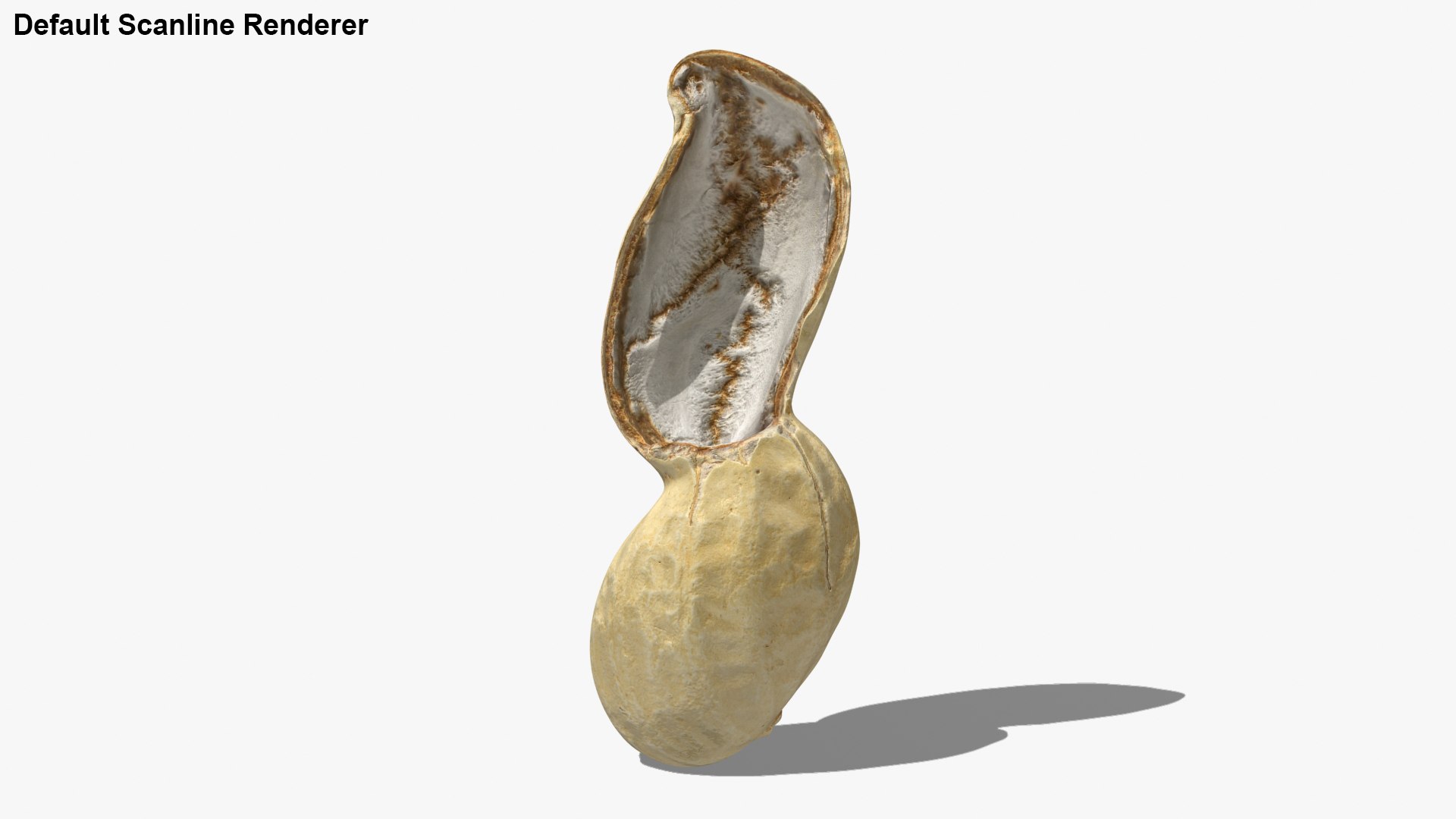Open Peanut Shell 01 3D model https://p.turbosquid.com/ts-thumb/yv/EUd2B4/5W/peanutshellcut_1_g0028/jpg/1663222568/1920x1080/fit_q87/2836a97cfc180375480e7dad243b155e4f962269/peanutshellcut_1_g0028.jpg
