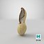 Open Peanut Shell 01