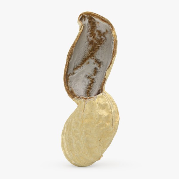 peanutshellcut_1_a0000.jpg