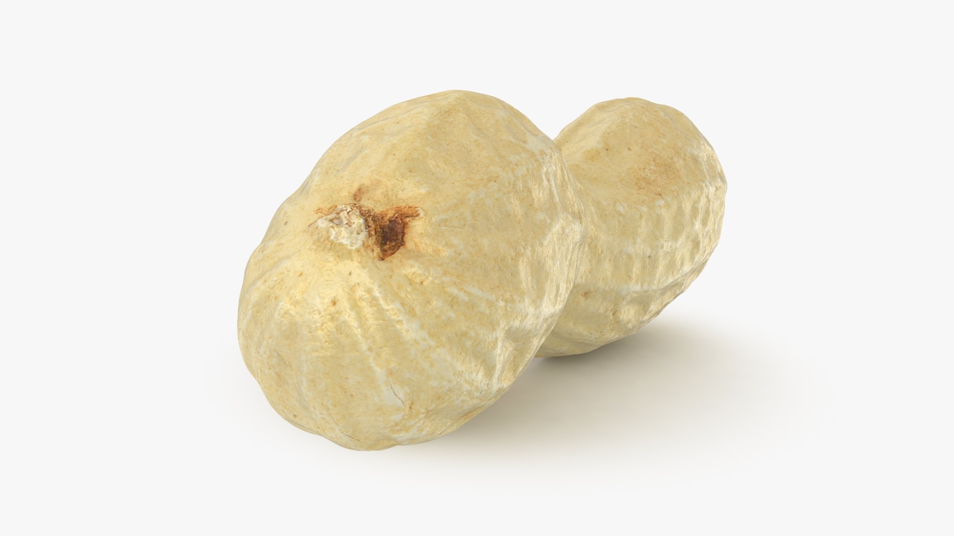 Open Peanut Shell 01 3D model https://p.turbosquid.com/ts-thumb/yv/EUd2B4/wP/peanutshellcut_1_b0023/jpg/1663222553/1920x1080/fit_q87/91d55ad0d8b74194eb751417b08a5313e172fe07/peanutshellcut_1_b0023.jpg