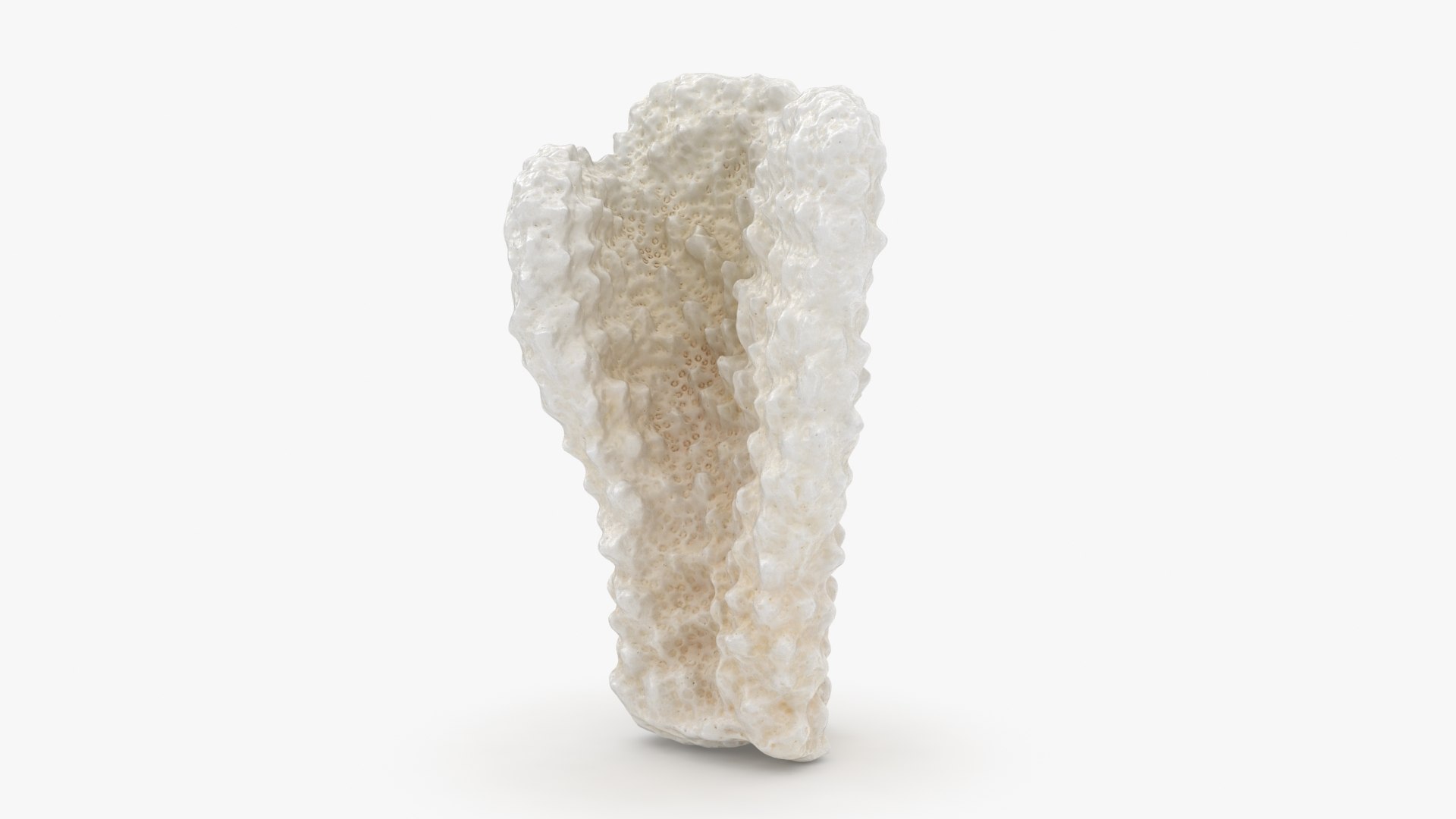 3D White Coral Collection https://p.turbosquid.com/ts-thumb/yv/EVpkeM/aU/zacroporaflorida02_a0001/jpg/1783508634/1920x1080/fit_q87/81eb355b9a15566a71e577ea4f7827bbfdc423b8/zacroporaflorida02_a0001.jpg