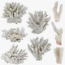 Collezione Corallo Bianco