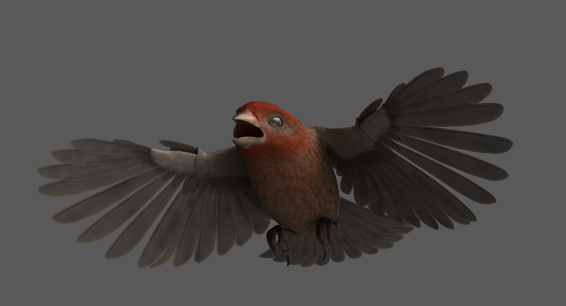 3D model rigged house finch - TurboSquid 1385068