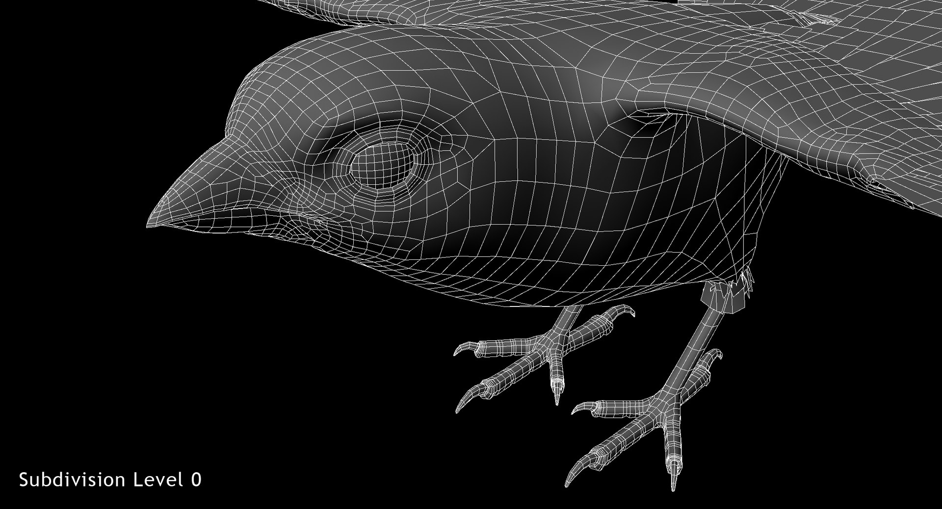 3D model rigged house finch - TurboSquid 1385068