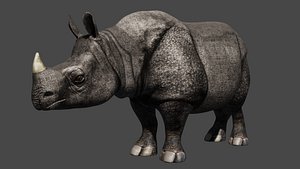 rigged 3D model