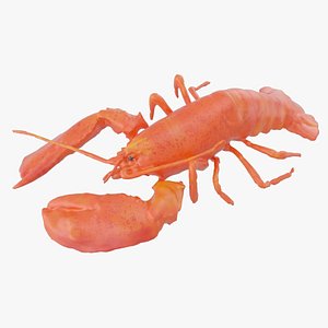 3D lobster