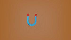 Magnet