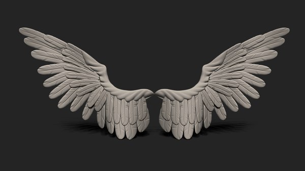 modelo 3d Un par de ala - TurboSquid 1818808