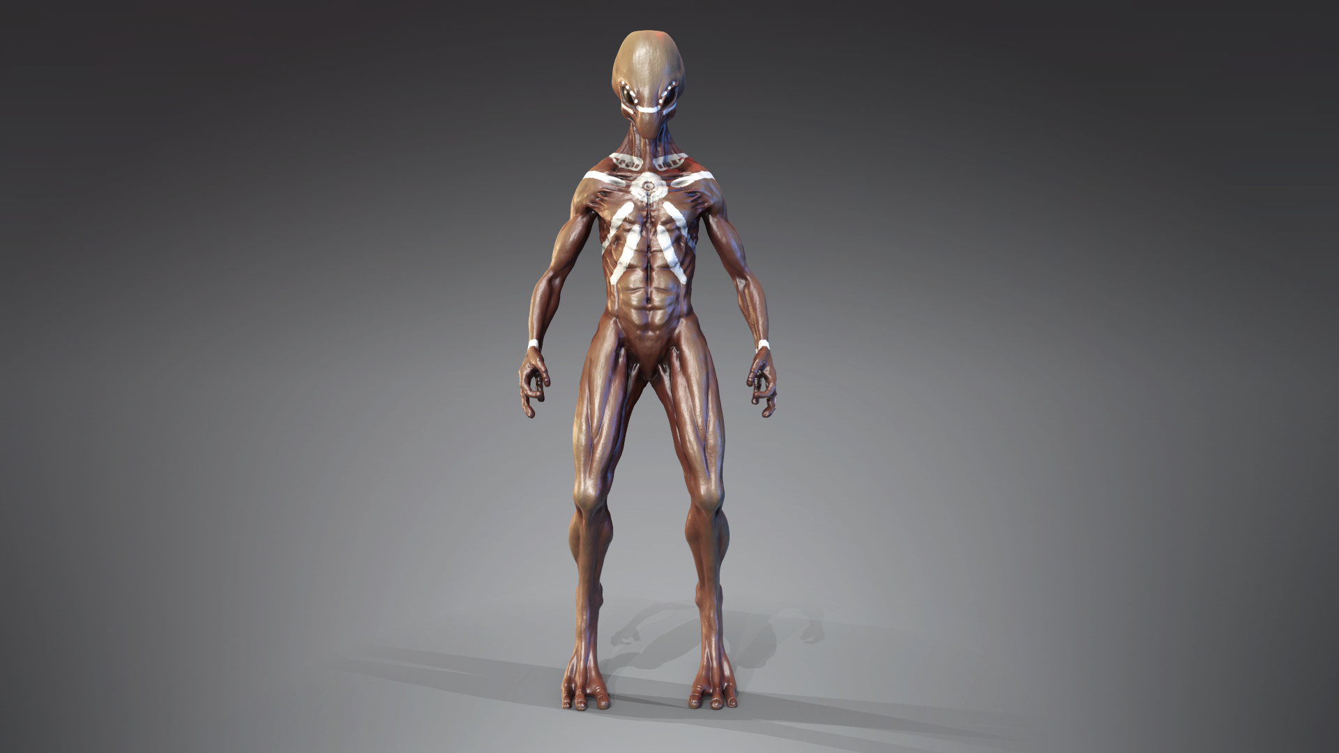 martian alien character pbr 3D model https://p.turbosquid.com/ts-thumb/yv/ZKu6ip/AMOqhfJw/01/png/1594985937/1920x1080/turn_fit_q99/d6bf2db979d574b0d1986e99d3fc0667afa2d737/01-1.jpg