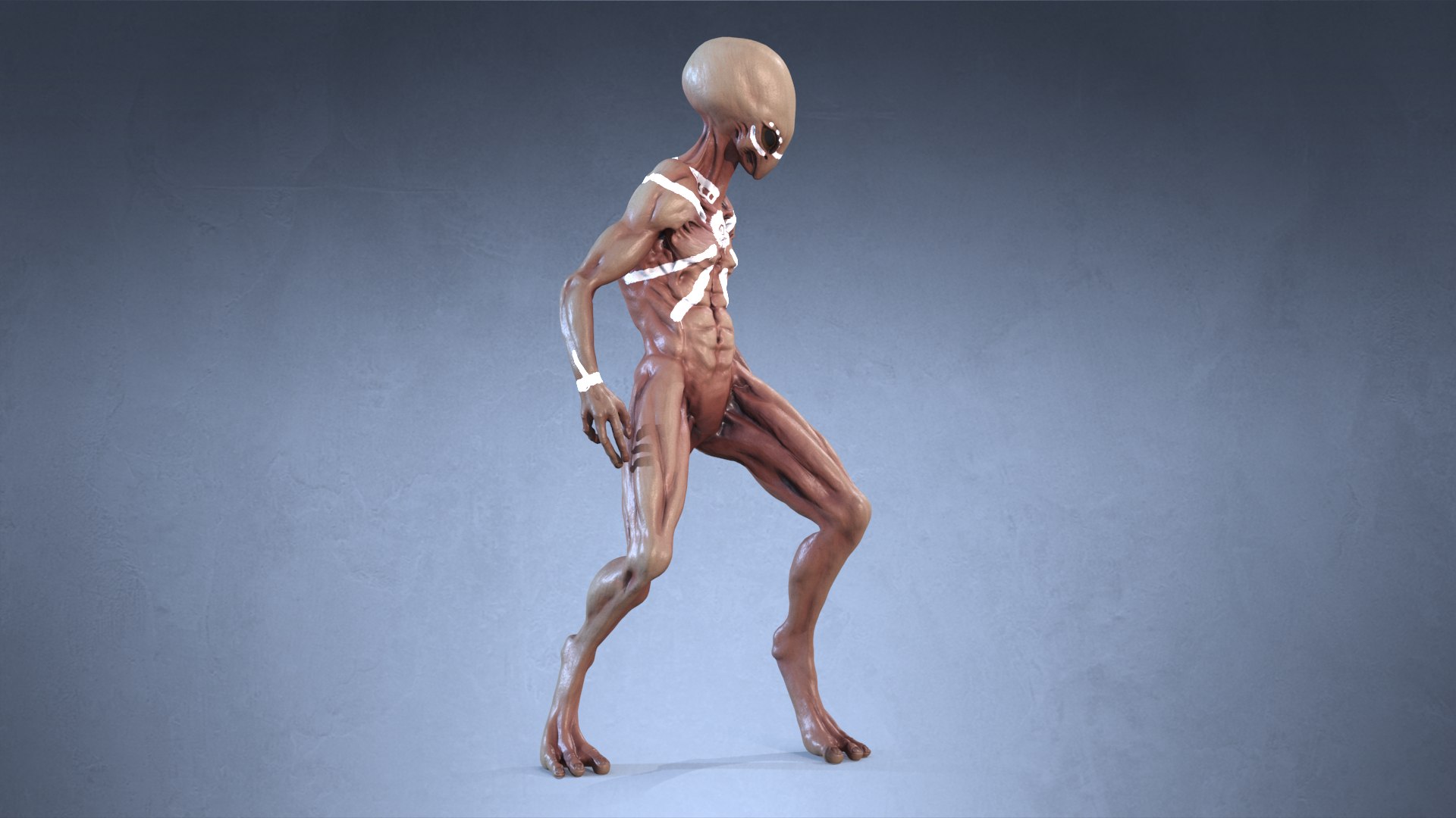 martian alien character pbr 3D model https://p.turbosquid.com/ts-thumb/yv/ZKu6ip/gLp7fiLG/3/png/1594985823/1920x1080/fit_q87/cd7d1d85d339b8a037fb2fc9efb54d374bf0a802/3.jpg