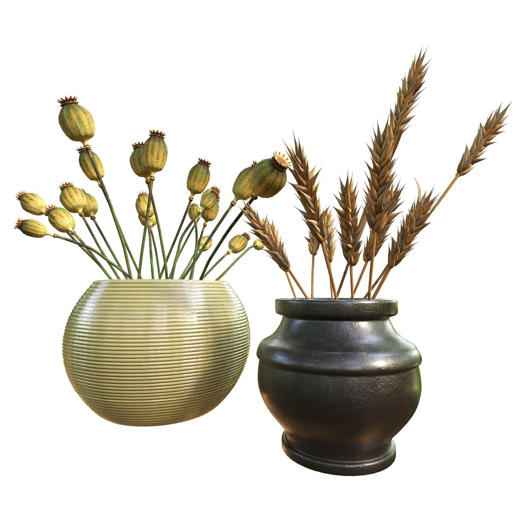 Artist Studio Pack 400 3D model https://p.turbosquid.com/ts-thumb/yv/mNYTUd/1h/artiststudiopack400stilllife27/jpg/1753520056/1920x1080/fit_q87/87c65f599131774ec1324e300219ae9d09f90b5b/artiststudiopack400stilllife27.jpg