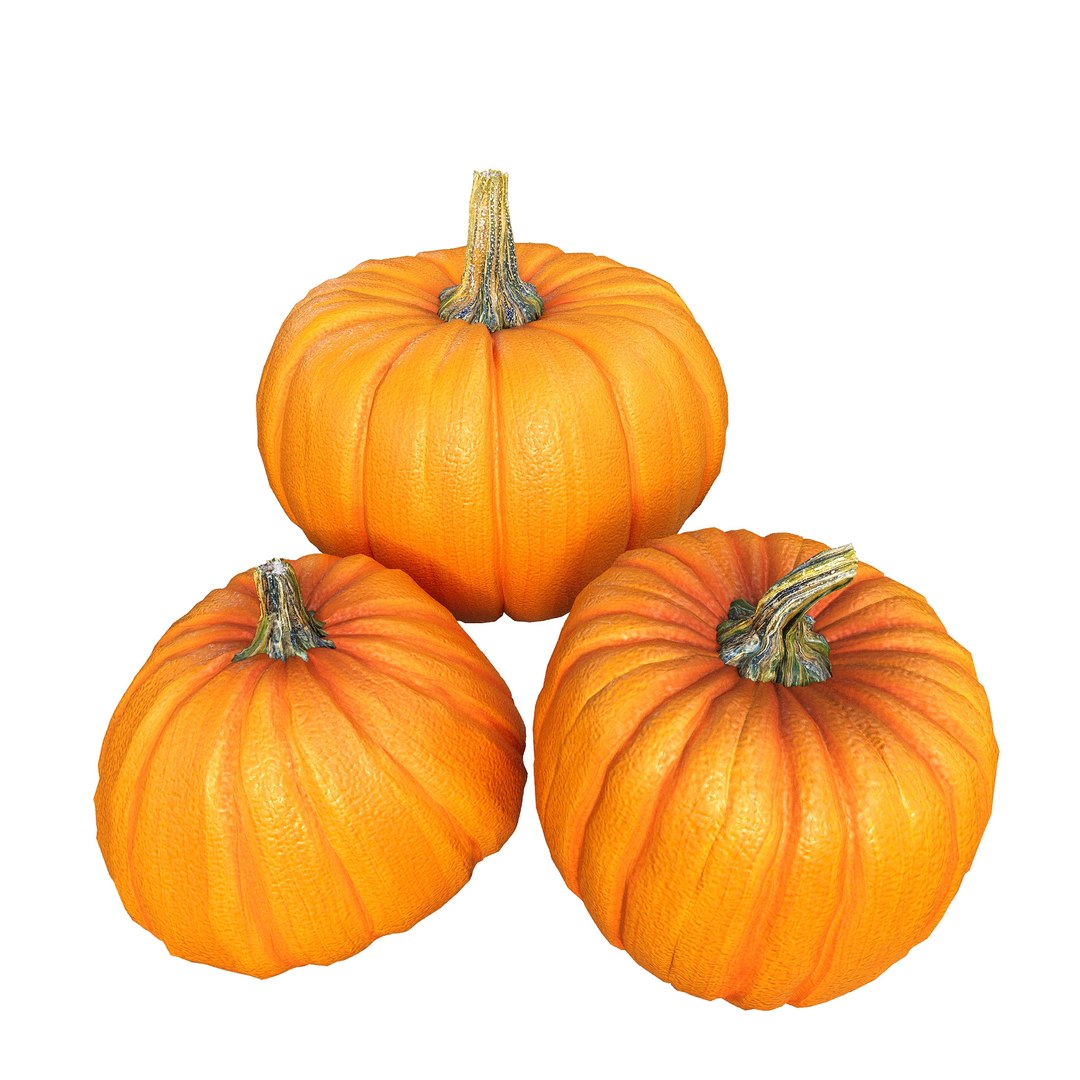 Artist Studio Pack 400 3D model https://p.turbosquid.com/ts-thumb/yv/mNYTUd/8f/artiststudiopack400stilllife25/jpg/1753520056/1920x1080/fit_q87/3687f3e18f39744bcc13637337764fe2c86fa85b/artiststudiopack400stilllife25.jpg