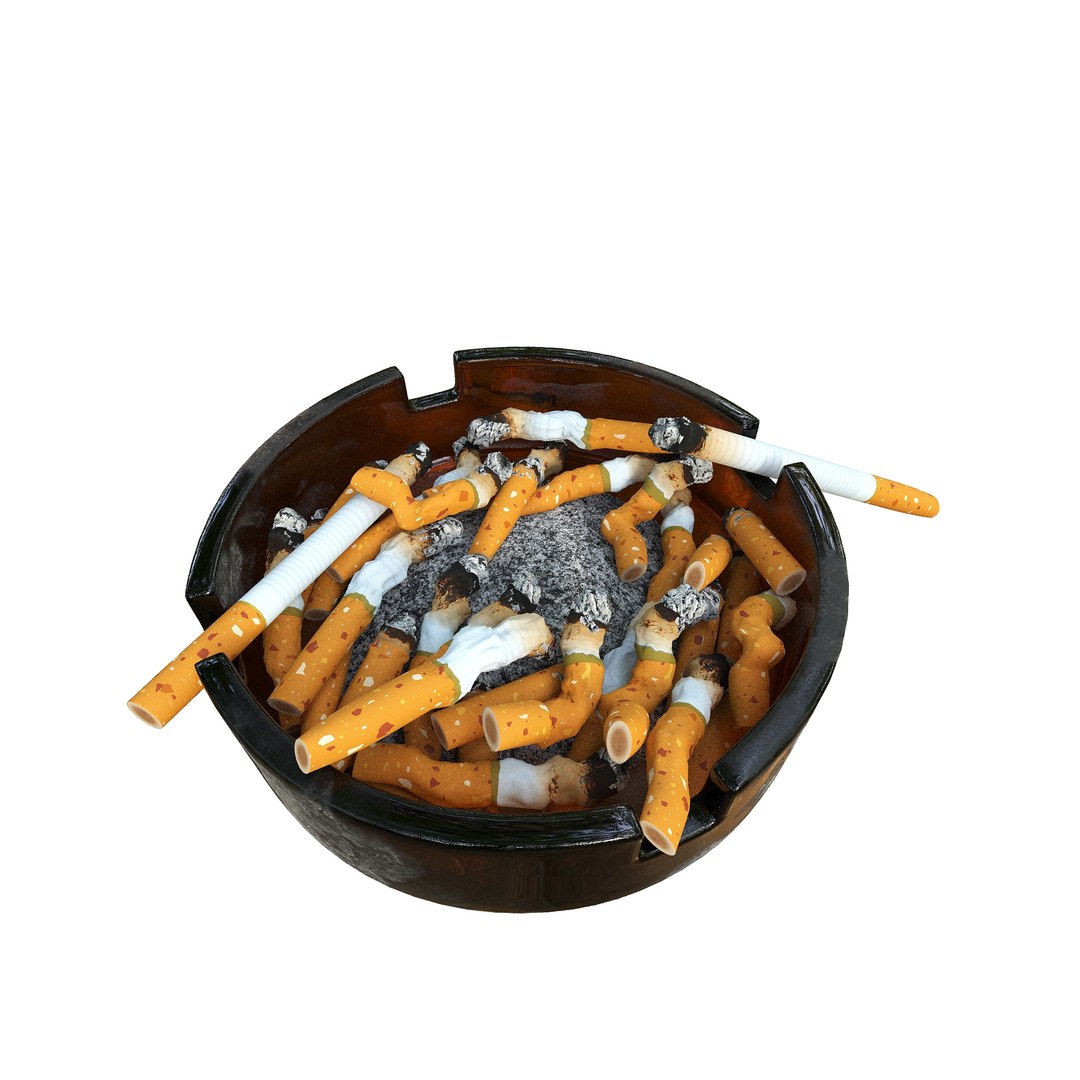 Artist Studio Pack 400 3D model https://p.turbosquid.com/ts-thumb/yv/mNYTUd/S6/artiststudiopack400stilllife28/jpg/1753520057/1920x1080/fit_q87/191afd8e39e06d31b90f3217319d78f217997124/artiststudiopack400stilllife28.jpg
