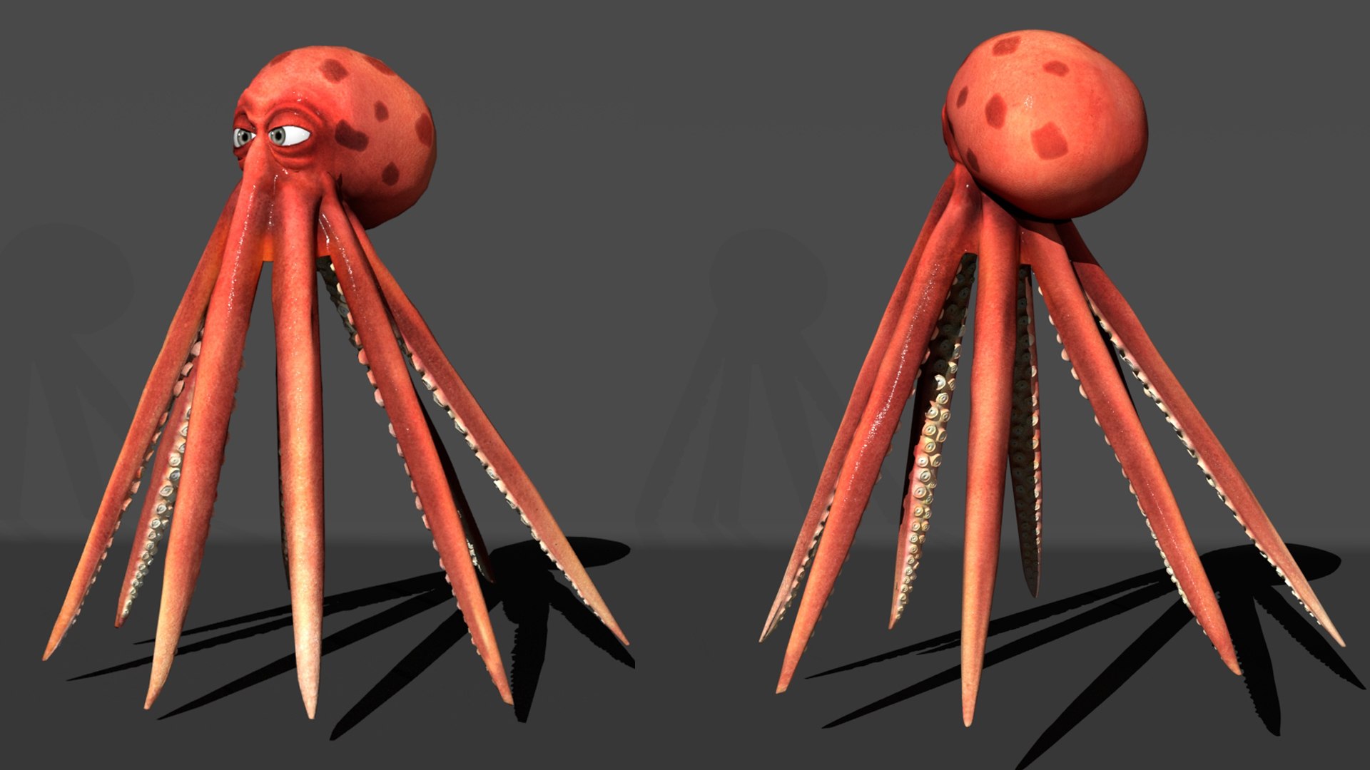 3D Cartoon Octopus - TurboSquid 2056065