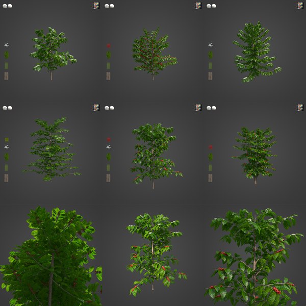 ag04_all_grid3x3_v02.jpg