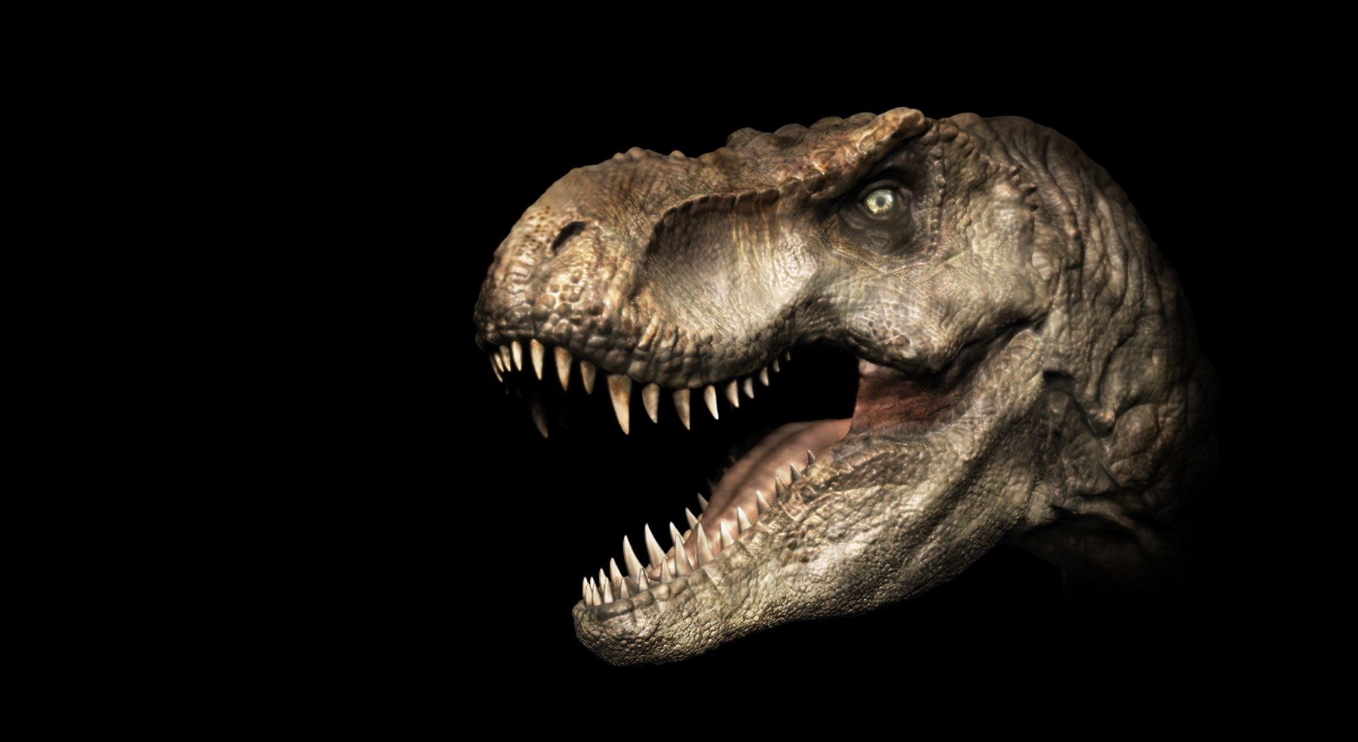 T Rex Head
