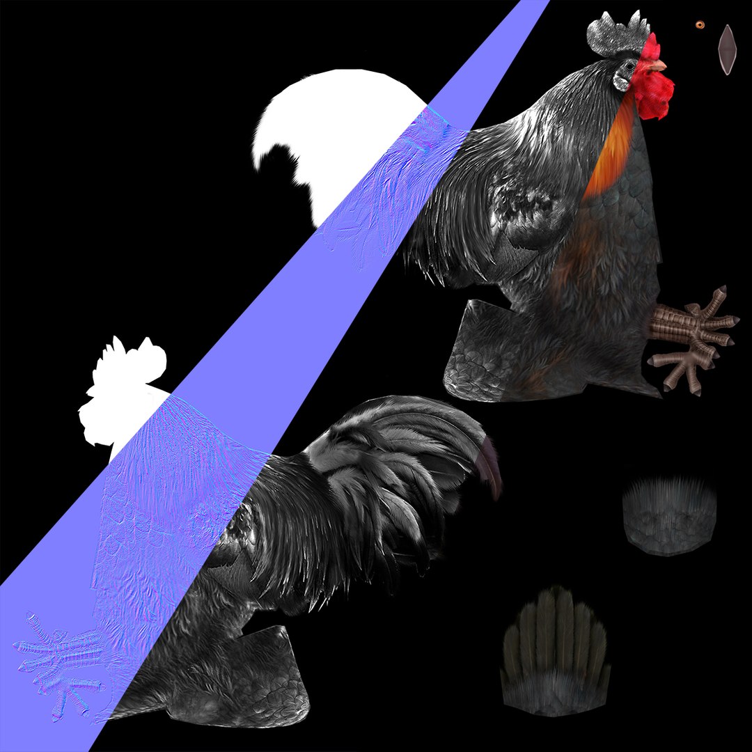 Rooster 3D - TurboSquid 1439528