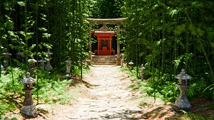 3D Japanese Bamboo Forest 3d Scene