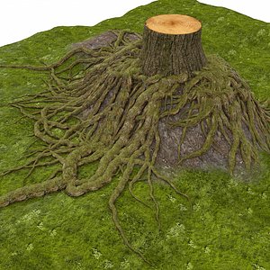 hill 3d model
