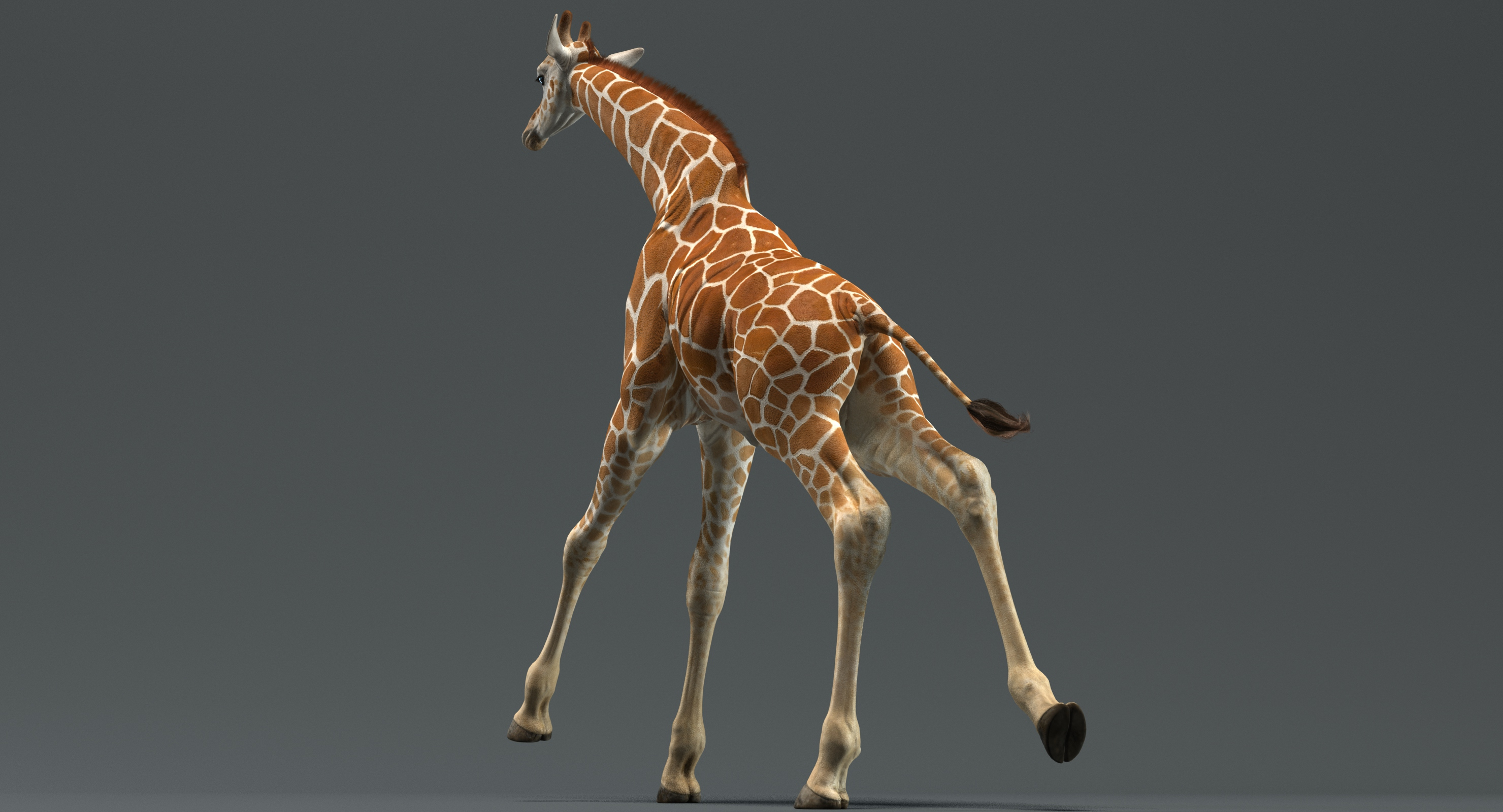 modèle 3D de Girafe (Animé) - TurboSquid 1416621