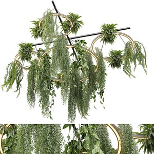 plant vol 783 - Hanging - Ampelous - Fern - Pothos - Ivy 3D