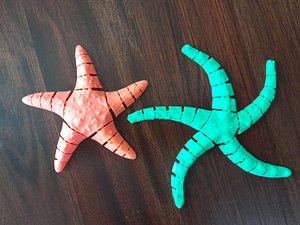 Flexy Starfish 3D model