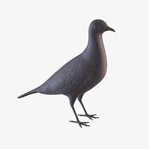 3D Pigeon