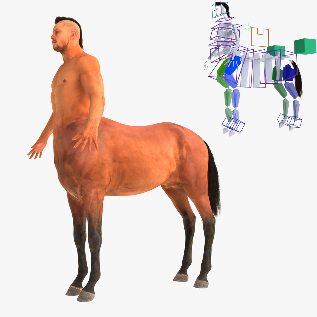 3d Model Centaur Rigged