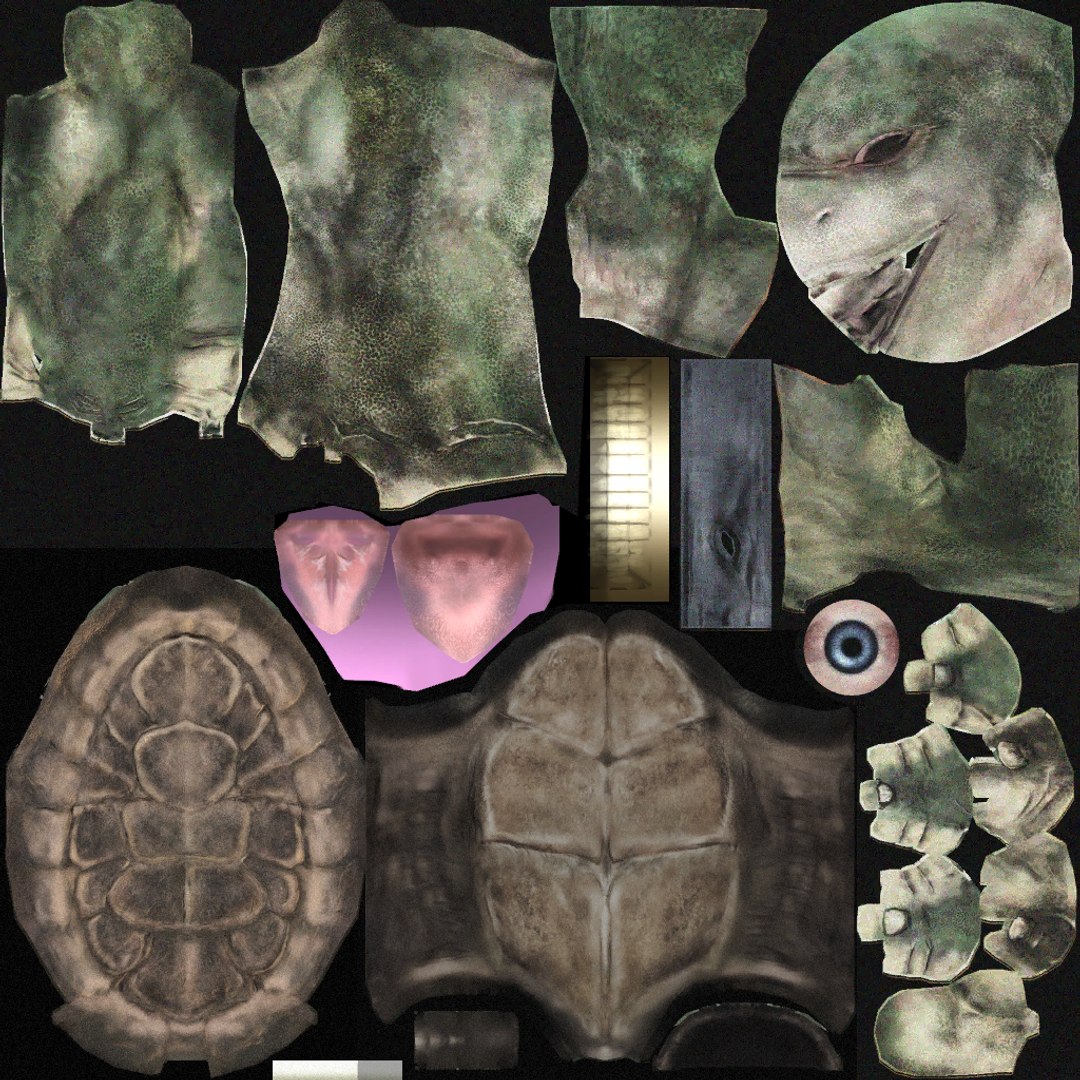 Donatello TMNT 3D Model High Quality Rigged 3D model https://p.turbosquid.com/ts-thumb/yw/TKsd20/yg/don_spec/png/1738001073/1920x1080/fit_q87/7cd0d76c6252ab35d62c2cf9b41519c8cdce6e2f/don_spec.jpg