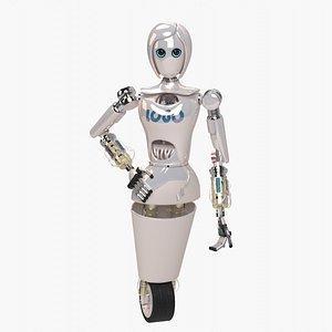 Custom Woman Robot