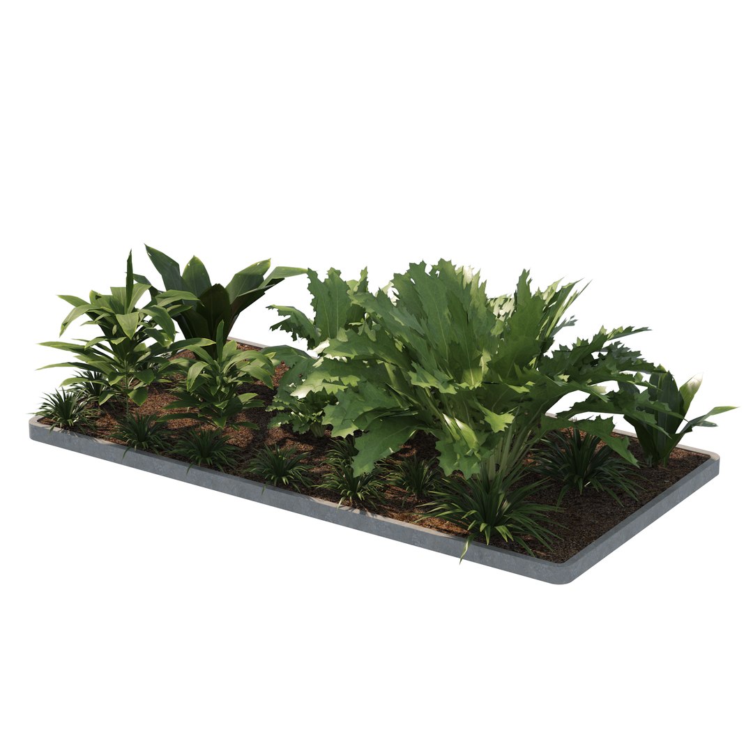 3D Tropical vegetation 3D model model https://p.turbosquid.com/ts-thumb/yw/YDSd6K/5A/03pp/jpg/1690903363/1920x1080/fit_q87/5b867f3ced131f7c6ef279954165d33d5d36c657/03pp.jpg