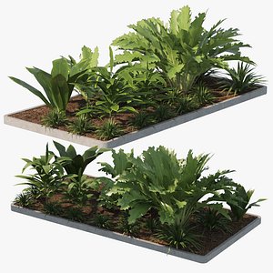 Tropical vegetation 3D model