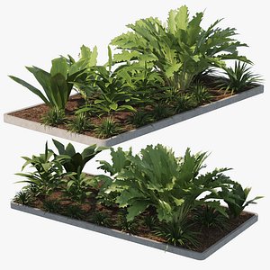 Tropical vegetation 3D model