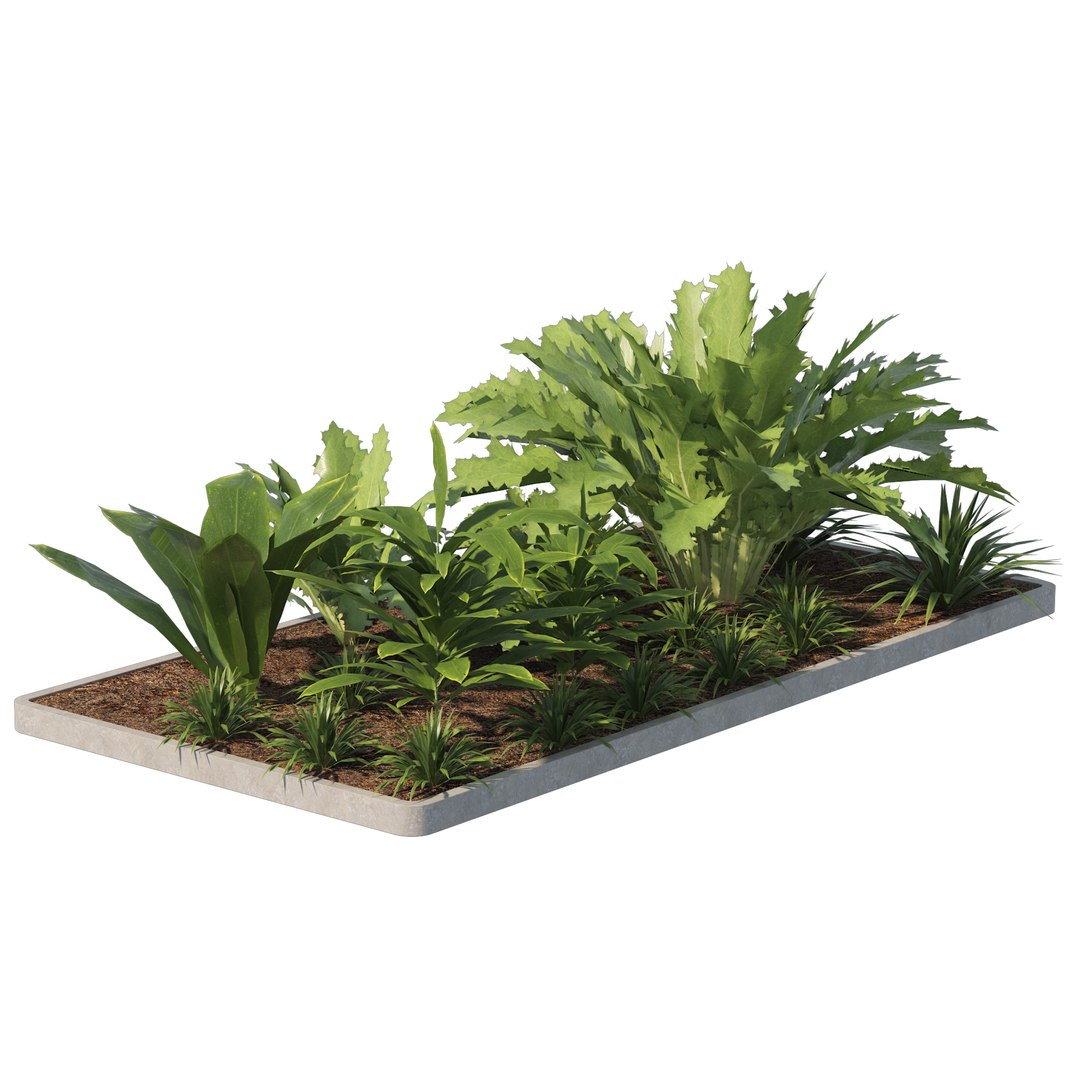 3D Tropical vegetation 3D model model https://p.turbosquid.com/ts-thumb/yw/YDSd6K/HW/02pp/jpg/1690903358/1920x1080/fit_q87/0e99bc31f6cb9b217375482e4de1f349ecf1d157/02pp.jpg