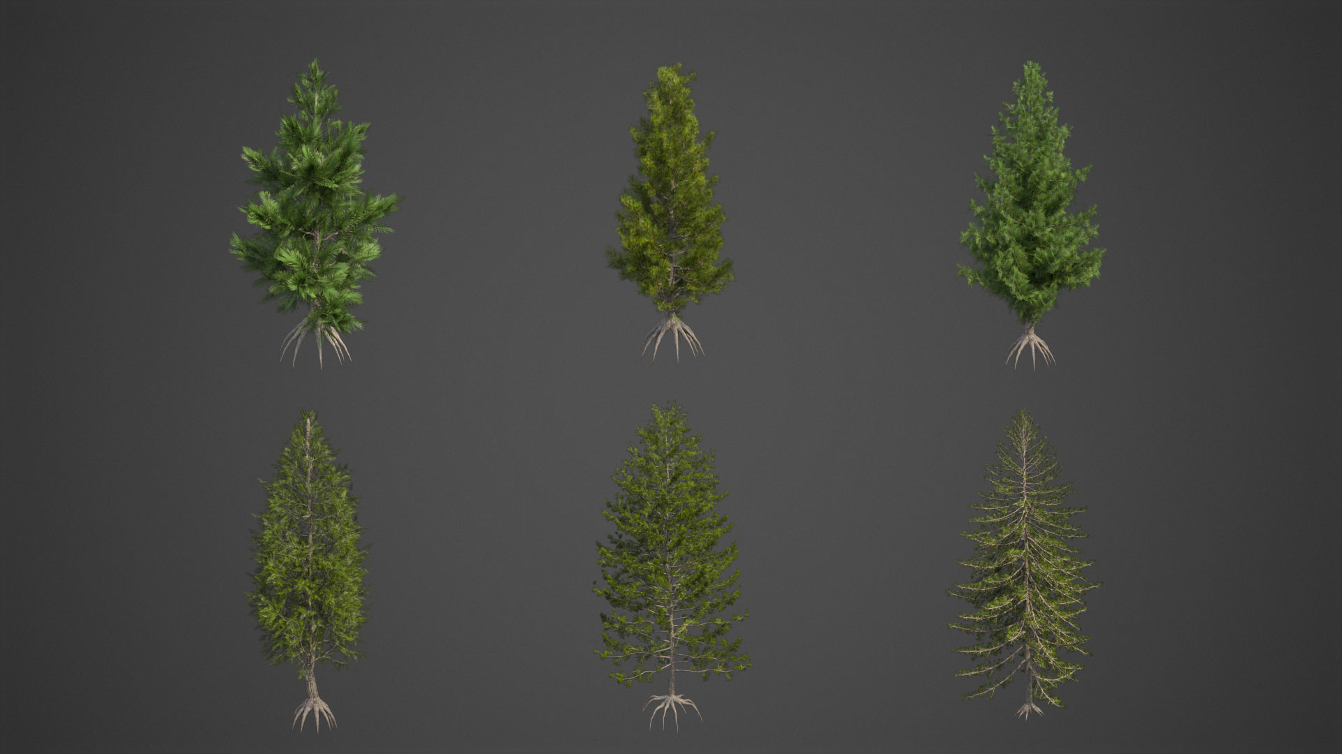 3D tree https://p.turbosquid.com/ts-thumb/yw/d8x5pm/Nr/ea12full/jpg/1610041363/1920x1080/turn_fit_q99/a0970a3f3778036008f43236f4b567477d5a5c53/ea12full-1.jpg