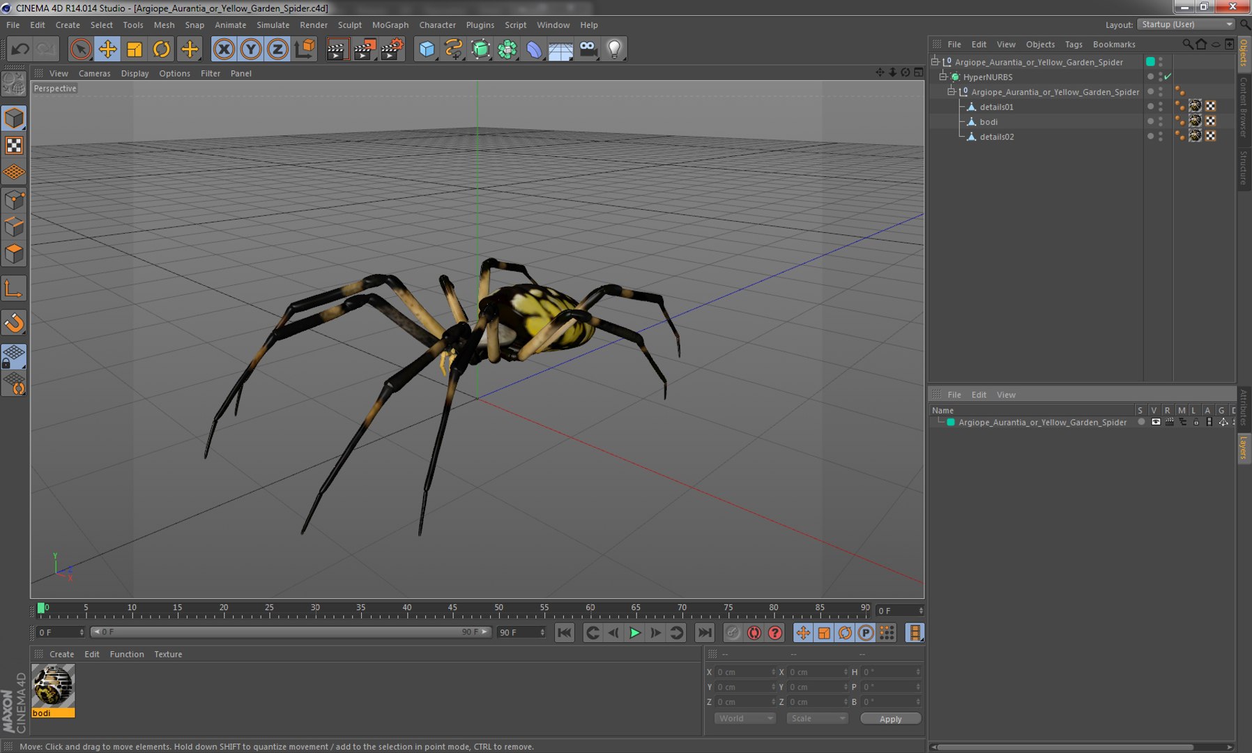 argiope aurantia yellow garden 3D model https://p.turbosquid.com/ts-thumb/yw/elcxYT/7mHBtVRE/argiopeaurantiaoryellowgardenspider3dsmodel016/jpg/1500964952/1920x1080/fit_q87/f1bc1ab3023e92474b9a3be67d1559fc0f669a9d/argiopeaurantiaoryellowgardenspider3dsmodel016.jpg