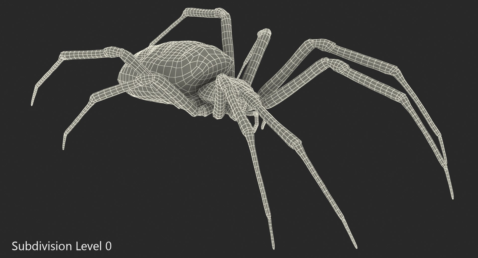 argiope aurantia yellow garden 3D model https://p.turbosquid.com/ts-thumb/yw/elcxYT/IdQfcJmu/argiopeaurantiaoryellowgardenspider3dsmodel011/jpg/1500964952/1920x1080/fit_q87/6efc89e9a6061106b2a7f84a6236e34c63e0a865/argiopeaurantiaoryellowgardenspider3dsmodel011.jpg