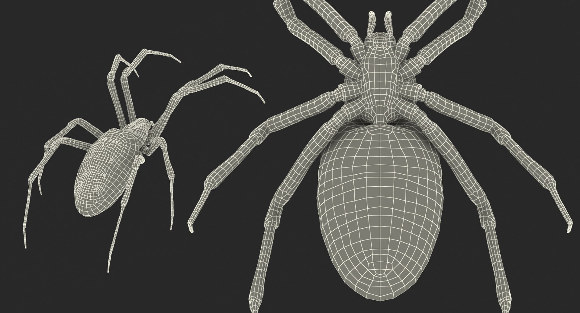argiope aurantia yellow garden 3D model https://p.turbosquid.com/ts-thumb/yw/elcxYT/KAZaRfEM/argiopeaurantiaoryellowgardenspider3dsmodel024/jpg/1500964953/1920x1080/fit_q87/7507f5176f865228cffe4f1e1f29d86e2d975142/argiopeaurantiaoryellowgardenspider3dsmodel024.jpg