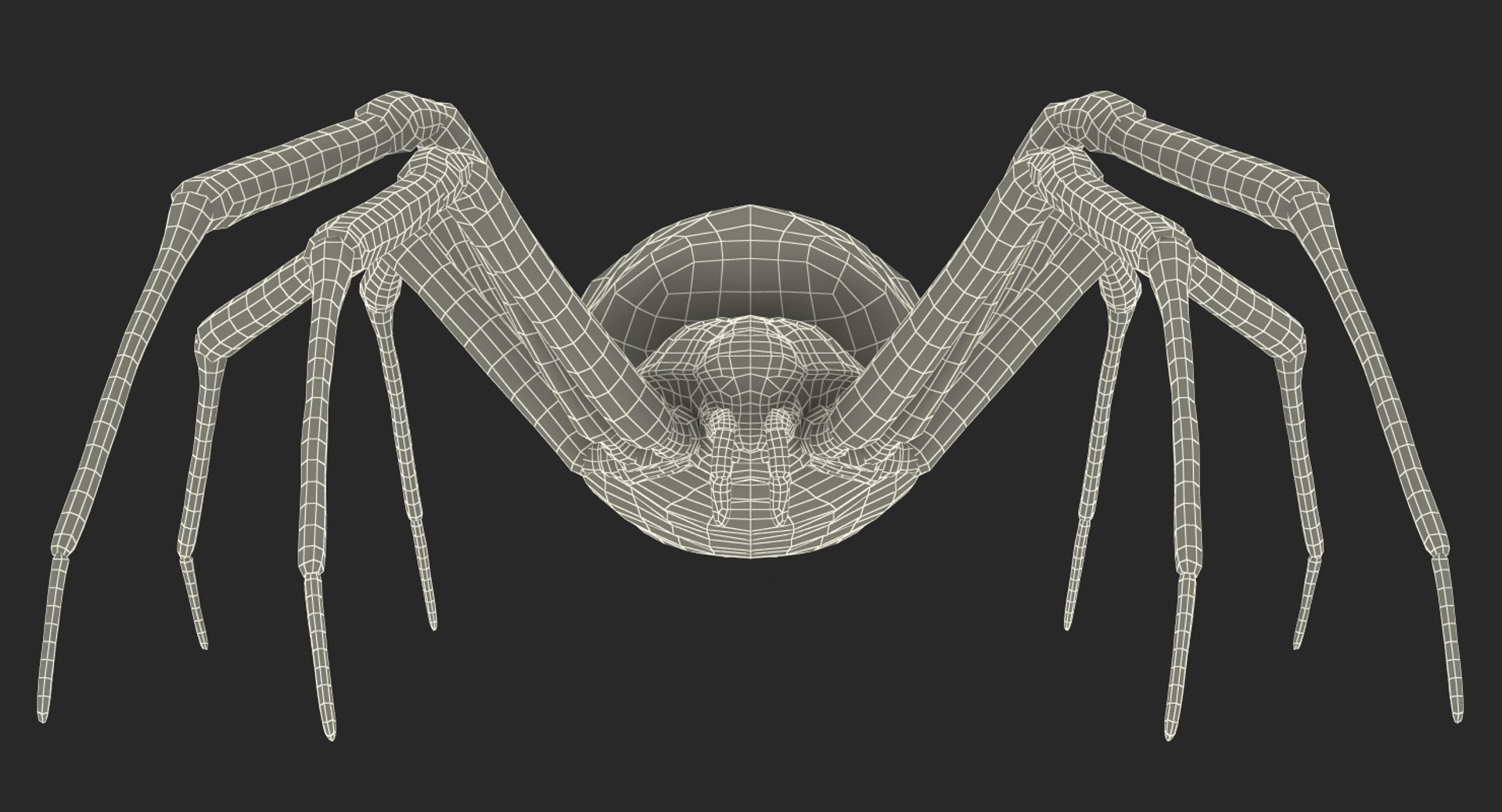 argiope aurantia yellow garden 3D model https://p.turbosquid.com/ts-thumb/yw/elcxYT/MSWx0yXZ/argiopeaurantiaoryellowgardenspider3dsmodel023/jpg/1500964953/1920x1080/fit_q87/1524bd9f1ff932686587913cd368f6669a16400a/argiopeaurantiaoryellowgardenspider3dsmodel023.jpg