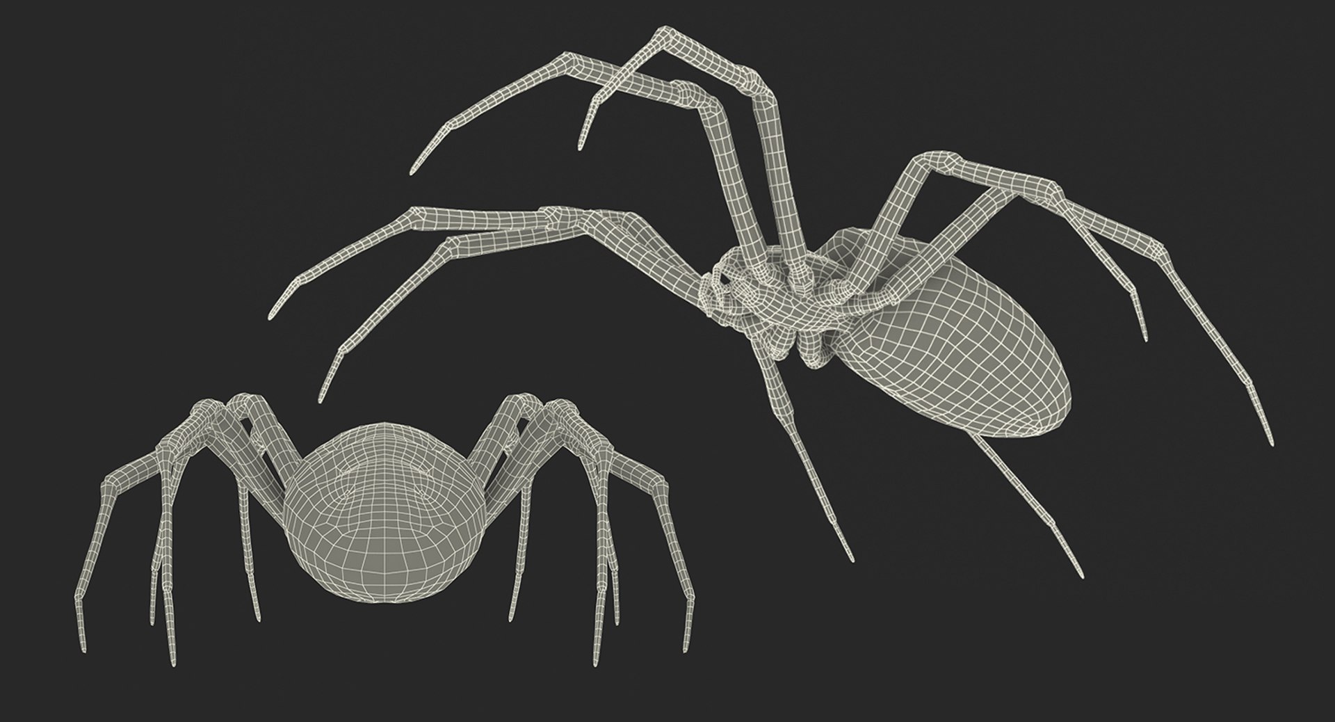 argiope aurantia yellow garden 3D model https://p.turbosquid.com/ts-thumb/yw/elcxYT/OY49Ff7T/argiopeaurantiaoryellowgardenspider3dsmodel021/jpg/1500964952/1920x1080/fit_q87/dc0b0aeb05835c89803591e7020c0829b5c2afba/argiopeaurantiaoryellowgardenspider3dsmodel021.jpg