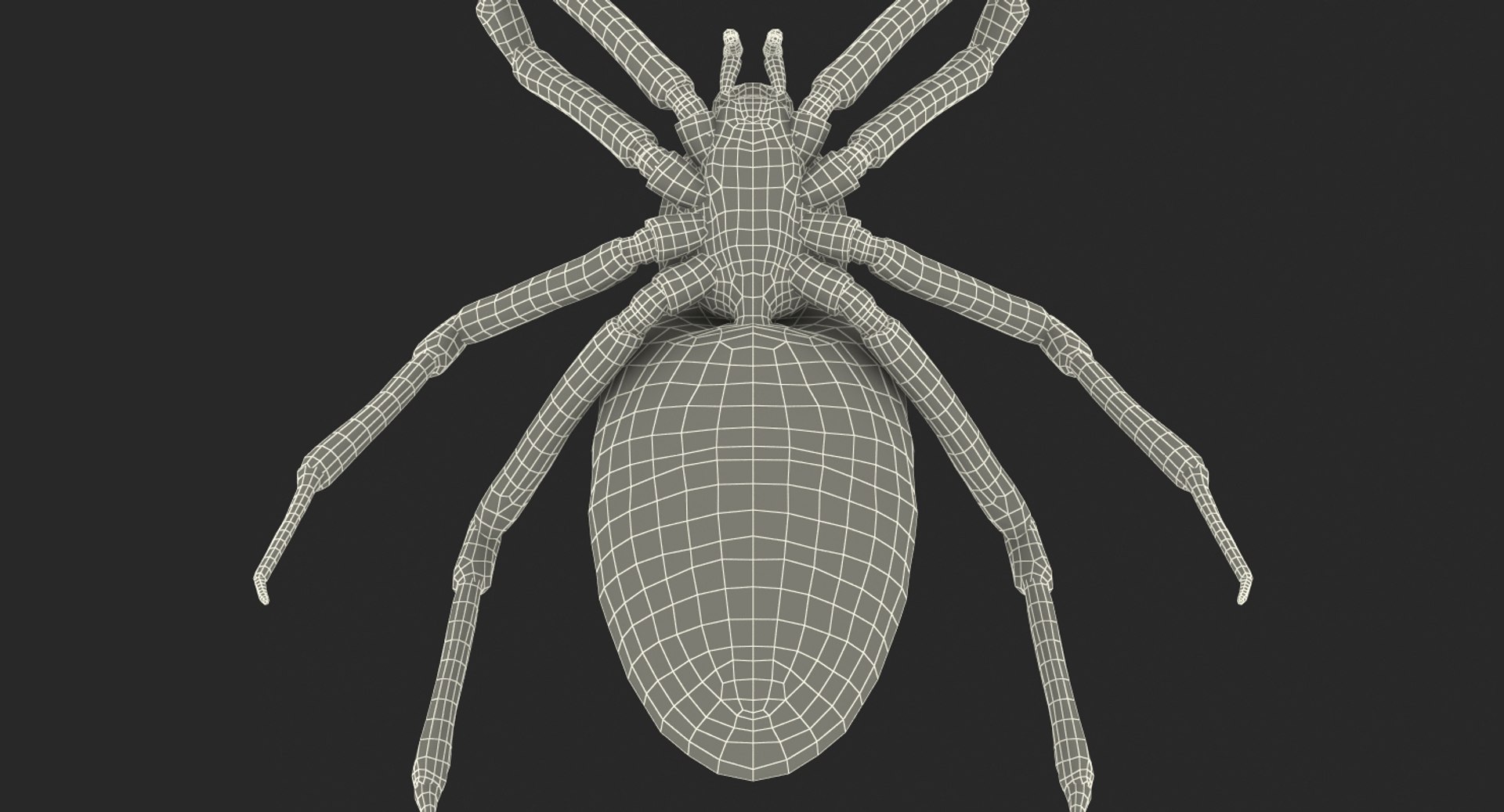 argiope aurantia yellow garden 3D model https://p.turbosquid.com/ts-thumb/yw/elcxYT/gudCQERL/argiopeaurantiaoryellowgardenspider3dsmodel022/jpg/1500964953/1920x1080/fit_q87/0d642867480b2535152084af70ce69ab46350f4f/argiopeaurantiaoryellowgardenspider3dsmodel022.jpg