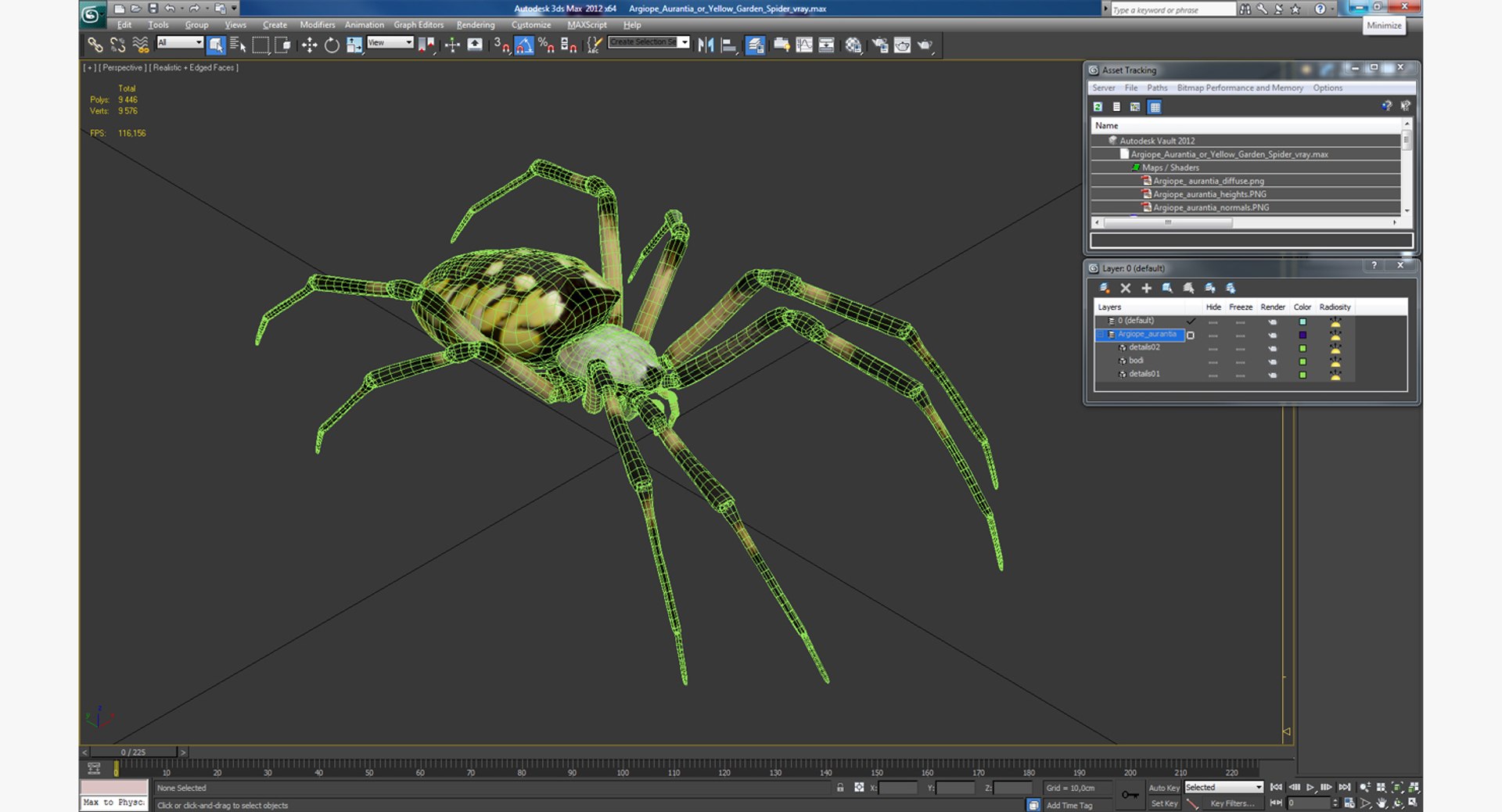 argiope aurantia yellow garden 3D model https://p.turbosquid.com/ts-thumb/yw/elcxYT/gzkrl28w/argiopeaurantiaoryellowgardenspider3dsmodel015/jpg/1500964952/1920x1080/fit_q87/fbdf2020b05dd98d3ec2206b2a1c2a7d2c61aa0b/argiopeaurantiaoryellowgardenspider3dsmodel015.jpg