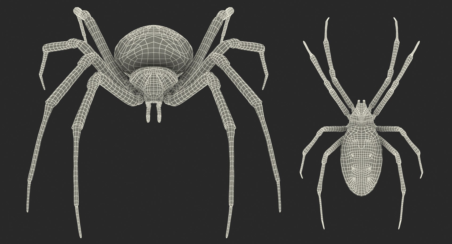 argiope aurantia yellow garden 3D model https://p.turbosquid.com/ts-thumb/yw/elcxYT/iZfBZDQx/argiopeaurantiaoryellowgardenspider3dsmodel019/jpg/1500964952/1920x1080/fit_q87/251c9634019f5008e43115b67911ddd5d697754b/argiopeaurantiaoryellowgardenspider3dsmodel019.jpg
