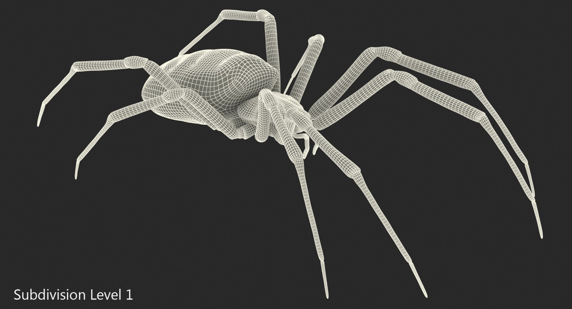 argiope aurantia yellow garden 3D model https://p.turbosquid.com/ts-thumb/yw/elcxYT/o1EW7x0f/argiopeaurantiaoryellowgardenspider3dsmodel012/jpg/1500964952/1920x1080/fit_q87/f84a3f0273c6af0ba6a1d37f740379093697c8ff/argiopeaurantiaoryellowgardenspider3dsmodel012.jpg