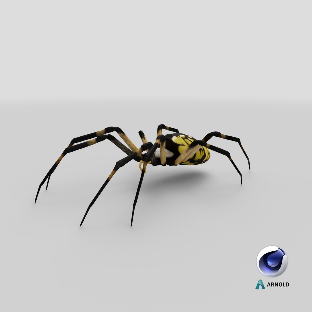 argiope aurantia yellow garden 3D model https://p.turbosquid.com/ts-thumb/yw/elcxYT/ue/stemcell_cinema_4d_arnold_render/png/1651230695/1920x1080/fit_q87/c19146d37593d2a75ae520fca54f4ea81e67665b/stemcell_cinema_4d_arnold_render.jpg